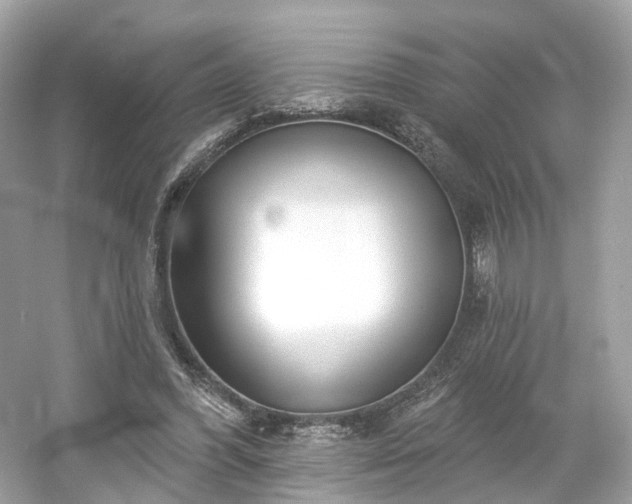 X0000054360396200508051534