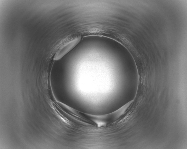 X0000054360397200508051534