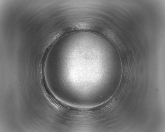 X0000054360398200508051534
