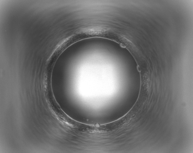 X0000054360400200508051534