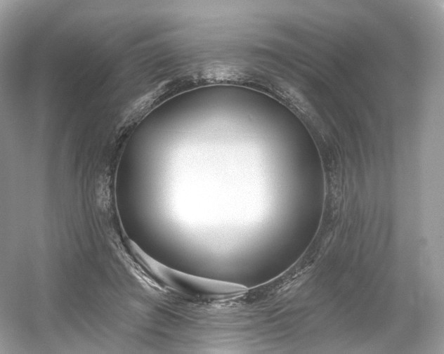 X0000054360401200508051534