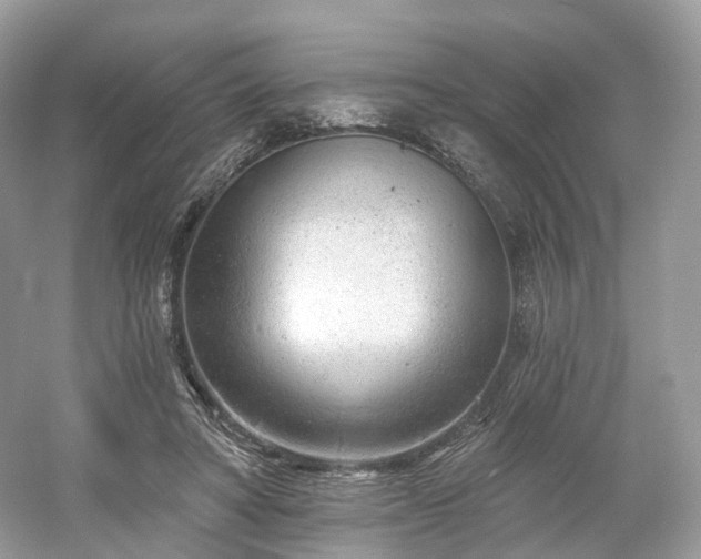 X0000054360402200508051534