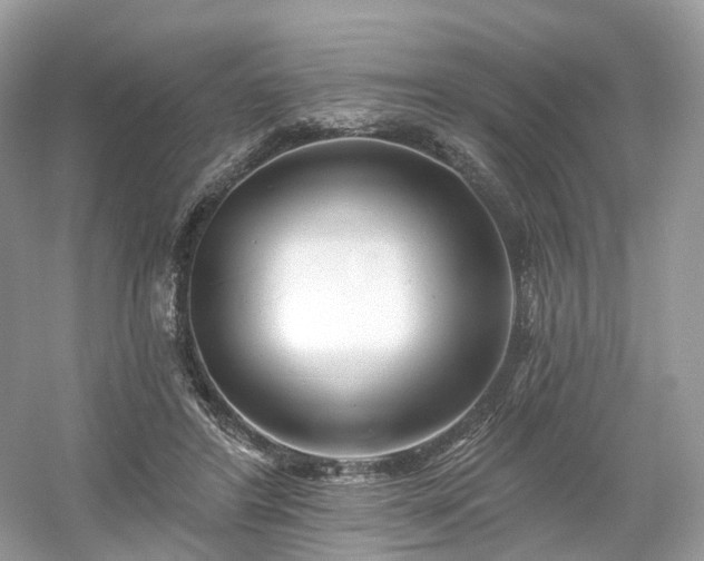 X0000054360404200508051534