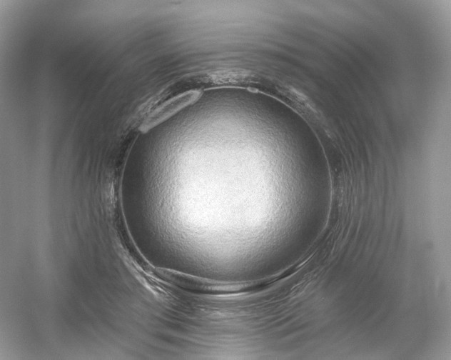 X0000054360405200508051534