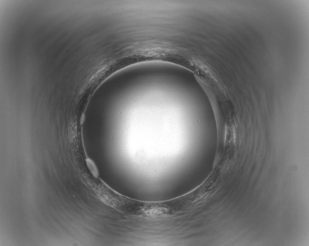 X0000054360407200508051534