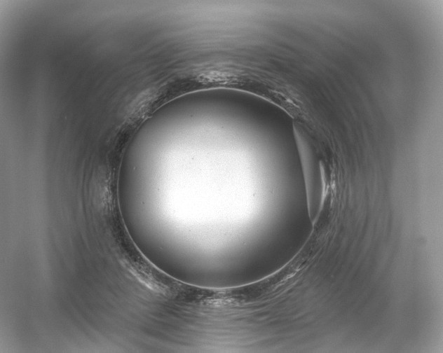 X0000054360408200508051534