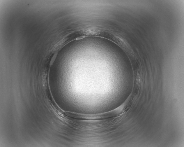 X0000054360409200508051534