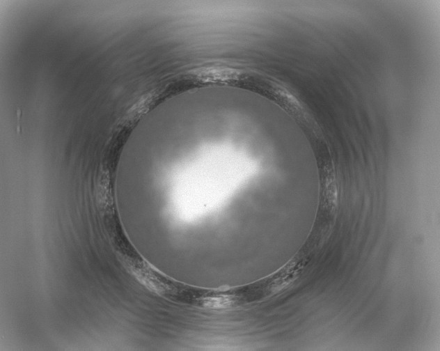 X0000054360411200508051534