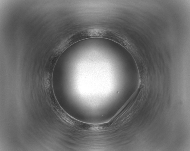X0000054360413200508051534