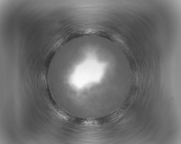 X0000054360415200508051534