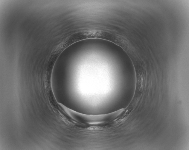 X0000054360416200508051534