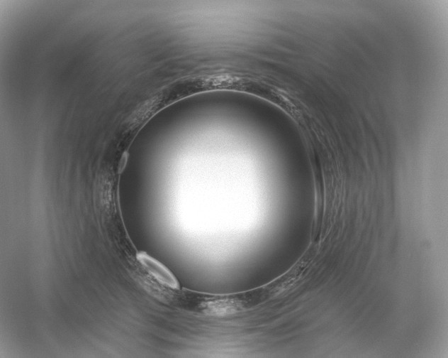 X0000054360417200508051534