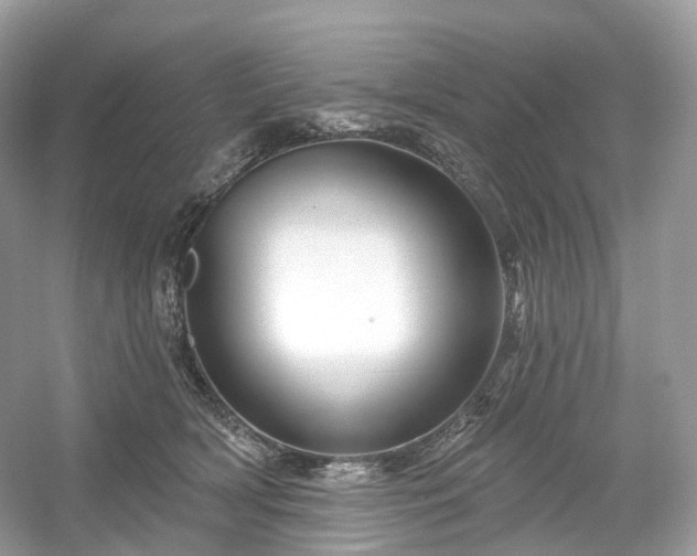 X0000054360418200508051534