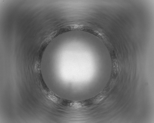 X0000054360419200508051534