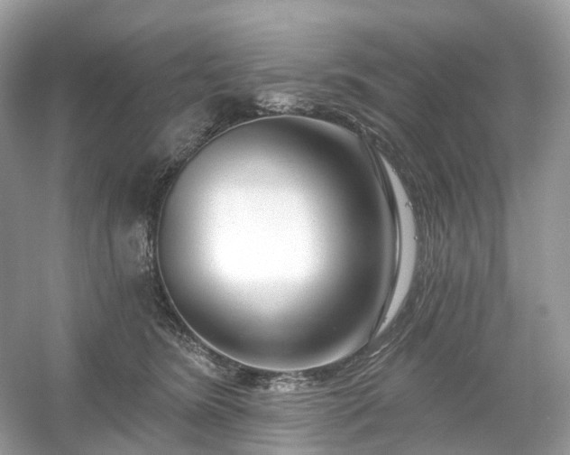 X0000054360420200508051534