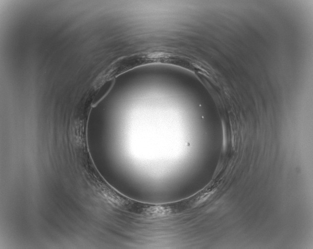 X0000054360421200508051534
