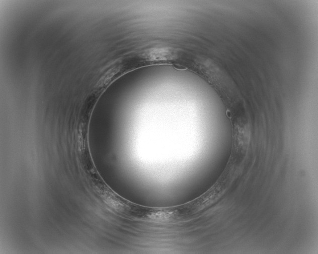 X0000054360422200508051534