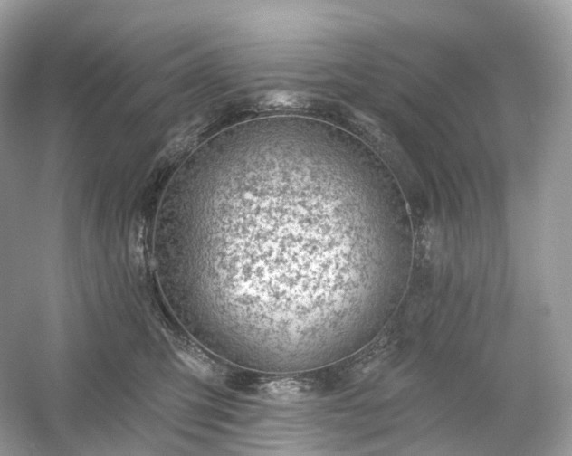 X0000054360423200508051534