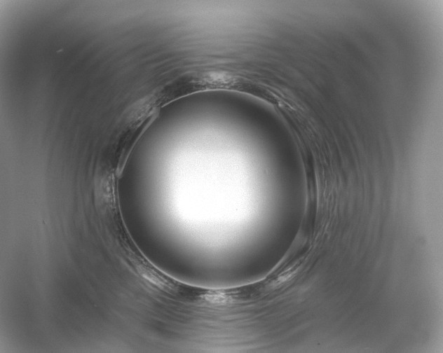 X0000054360425200508051534