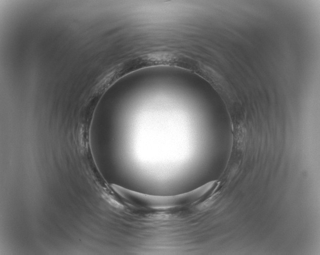 X0000054360428200508051534