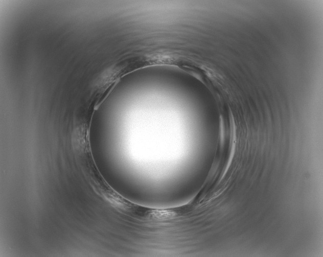 X0000054360429200508051534