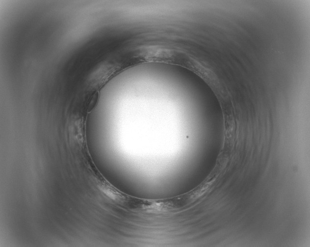 X0000054360430200508051534