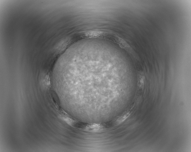 X0000054360431200508051534