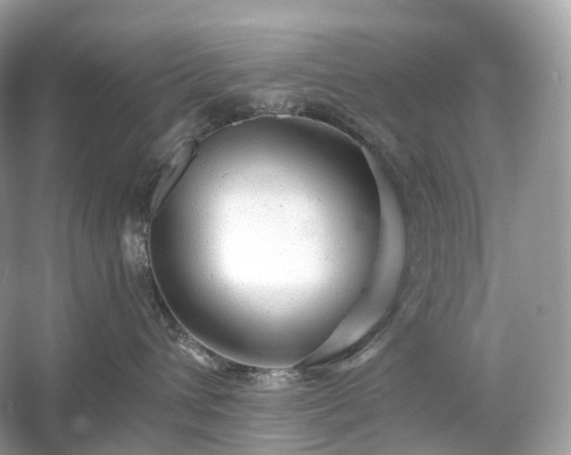 X0000054360432200508051534