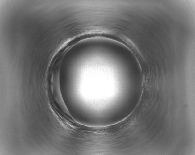 X0000054360436200508051533