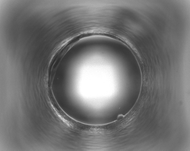 X0000054360437200508051533