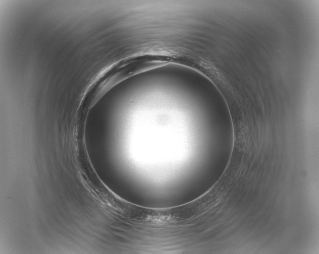 X0000054360440200508051533