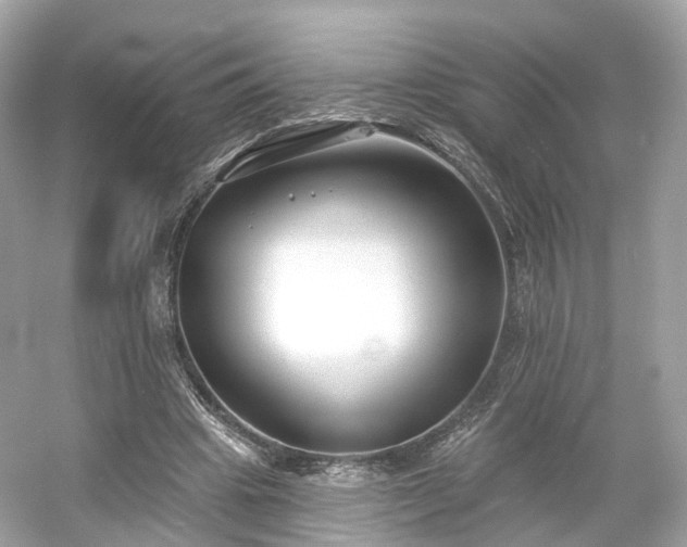 X0000054360441200508051533