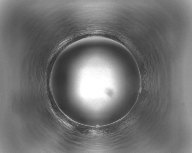 X0000054360442200508051533