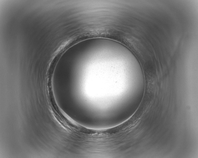 X0000054360443200508051533