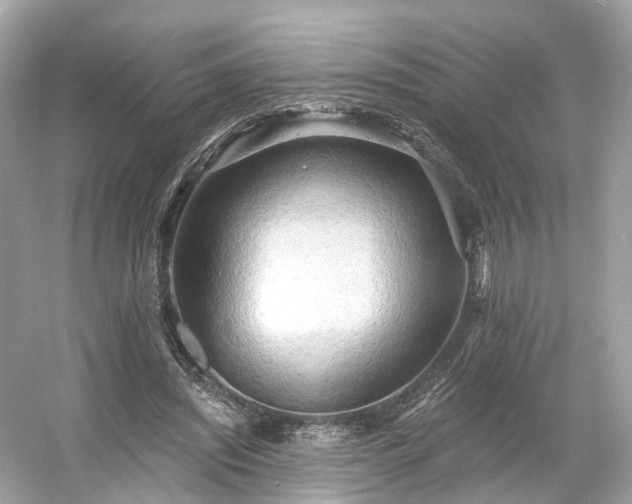 X0000054360444200508051533