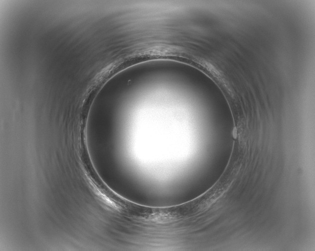 X0000054360445200508051533