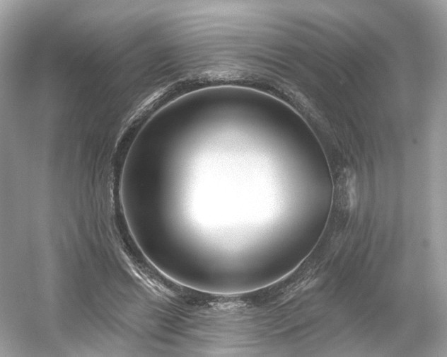 X0000054360446200508051533
