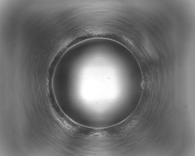 X0000054360447200508051533