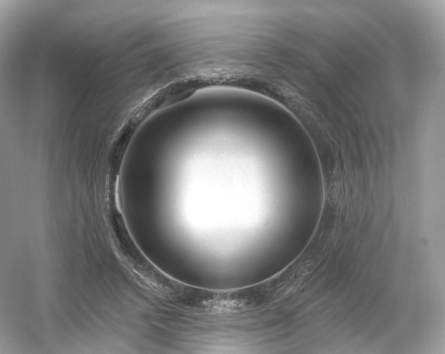 X0000054360448200508051533
