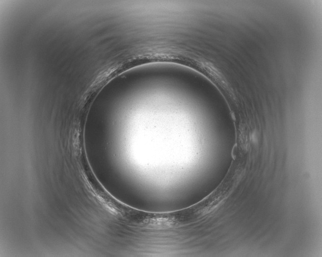 X0000054360449200508051533