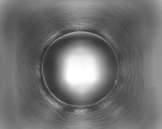X0000054360450200508051533