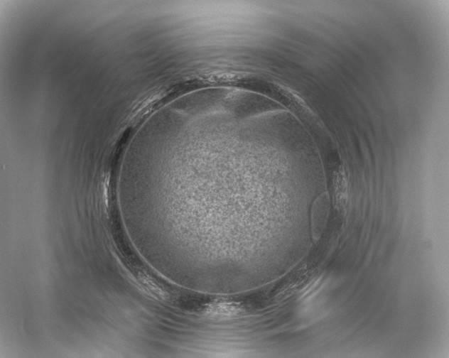X0000054360451200508051533