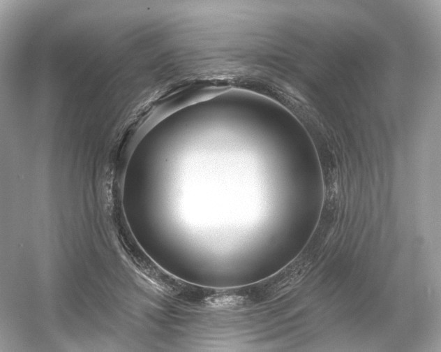 X0000054360452200508051533