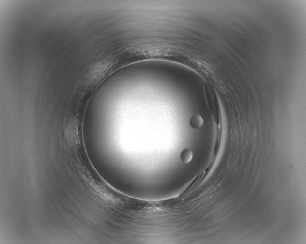 X0000054360453200508051533