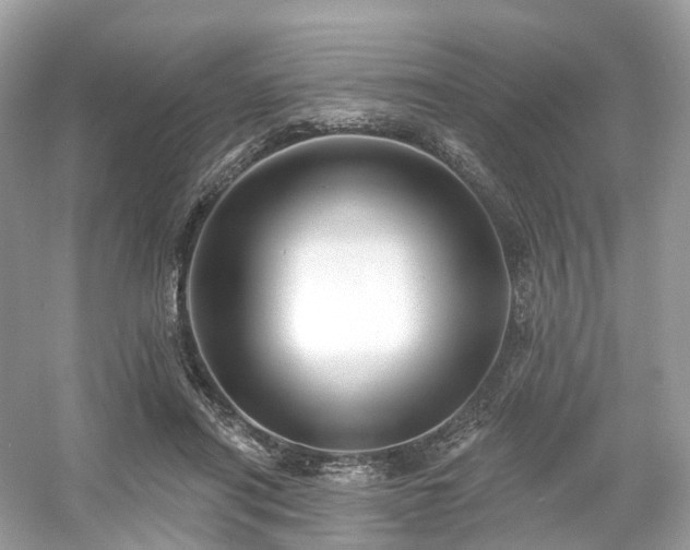 X0000054360454200508051533