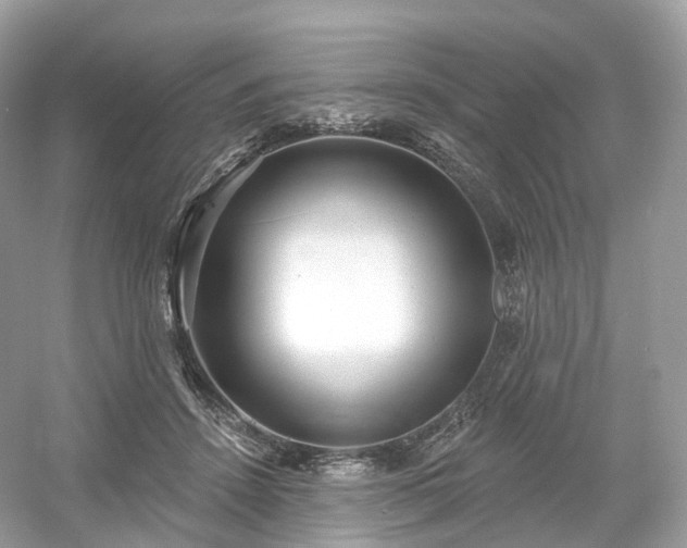 X0000054360456200508051533