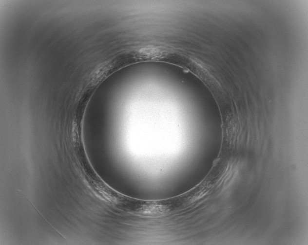 X0000054360459200508051533