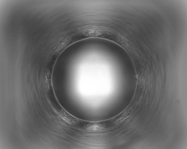 X0000054360460200508051533