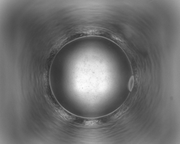 X0000054360461200508051533