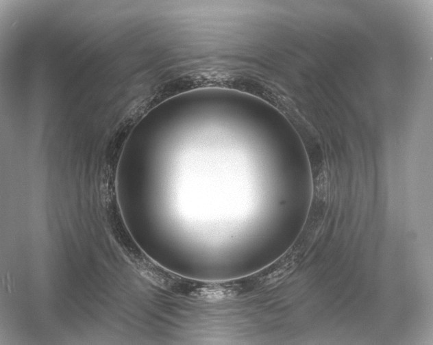 X0000054360464200508051533